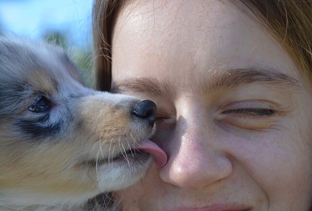 Puppy kisses image